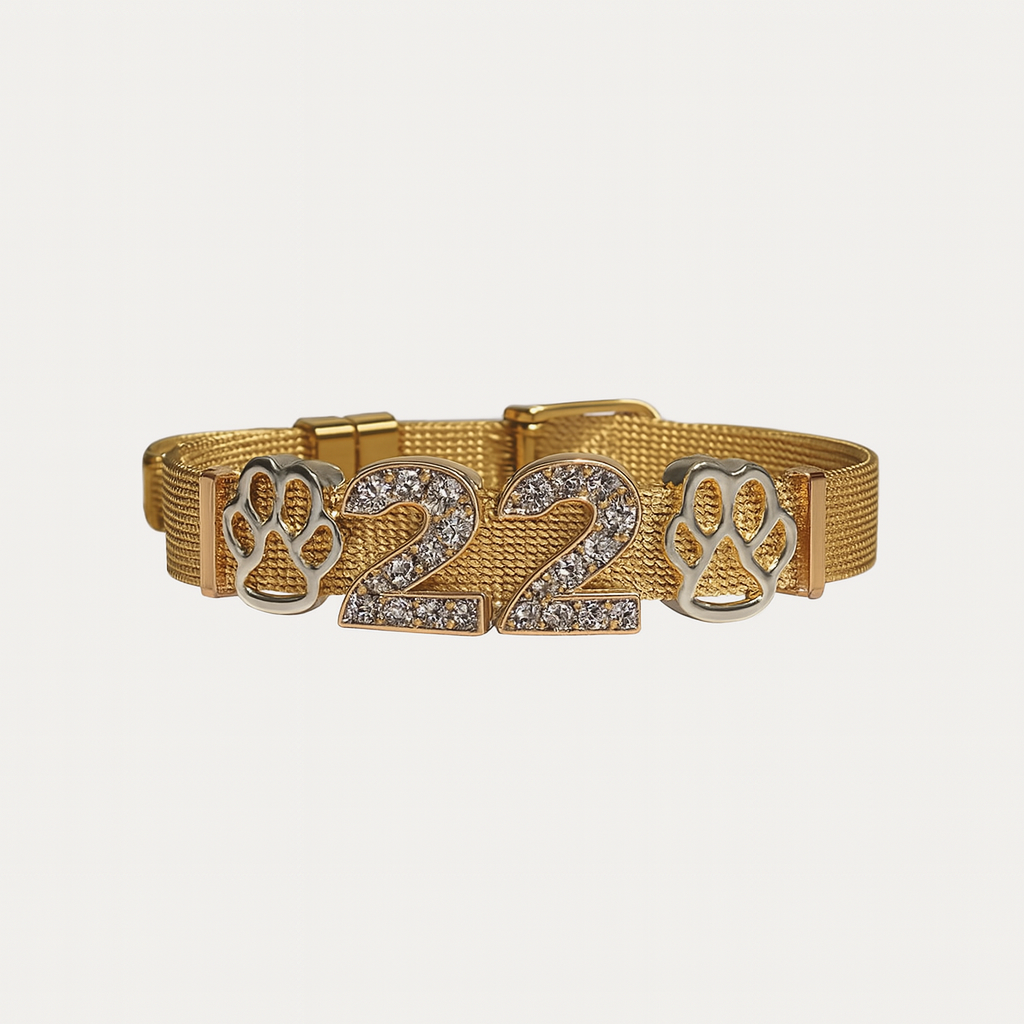 Paw & Sparkle '22' Charm Bracelet