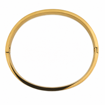 Satin Polished Bangle