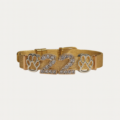 Paw & Sparkle '22' Charm Bracelet